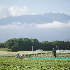 【御代田】畑の草取り・草刈り！シフト自由！週3日以上2h～◎