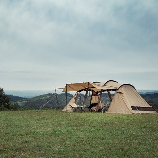 ︎サバティカル︎アルニカ︎新品未使用•未開封品︎ | vaisand.com