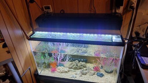 コトブキ アクアリスト 600S TB 水槽 60cm フルセット 海水 淡水