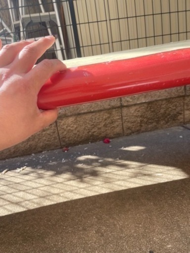 マリンスポーツ オーストラリア、ロングボード
