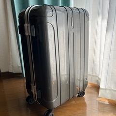 (確約)国内用スーツケース[3-5泊]