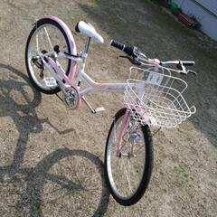 自転車（決まりました）