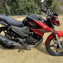 FAZER125 YS125 (YAMAHA)