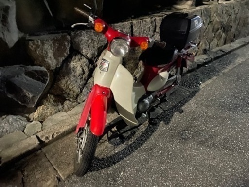リトルカブ 赤 c50