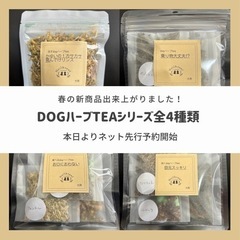 本日より~dogハーブtea ~先行予約販売開始