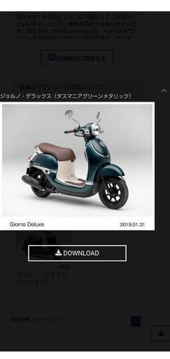 ホンダ⭐️ジョルノデラックス