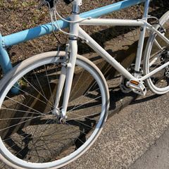  FUJI 「フジ」 PALETTE 2016年モデル Sサイズ