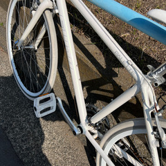  FUJI 「フジ」 PALETTE 2016年モデル Sサイズ