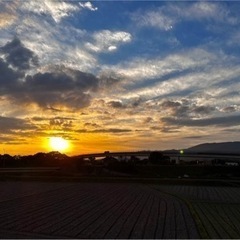 卒園、卒業シーズン🌸写真や動画を記念に