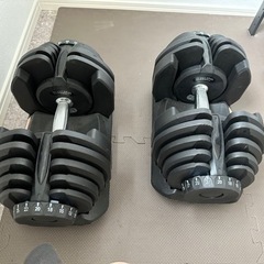 可変式ダンベル 40kg✖︎2