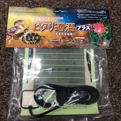 レオパ飼育セット グラステラリウム