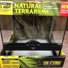 レオパ飼育セット グラステラリウム