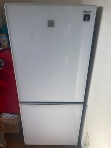シャープ冷蔵庫半年使用