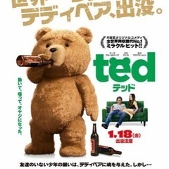 Tedのぬいぐるみが大量にあります。。