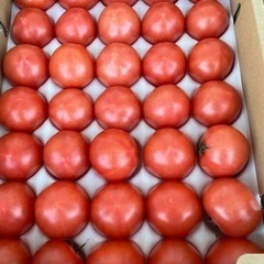 トマト2Sサイズ1500円