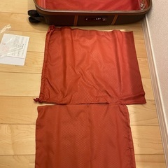 DELSEY デルセー シャトレーエア 32L 軽量 Sサイズ 1-2泊