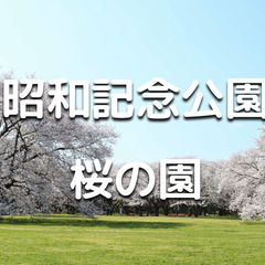 学生無料｜国営昭和記念公園の花見散歩「桜の園」を歩きましょう♪