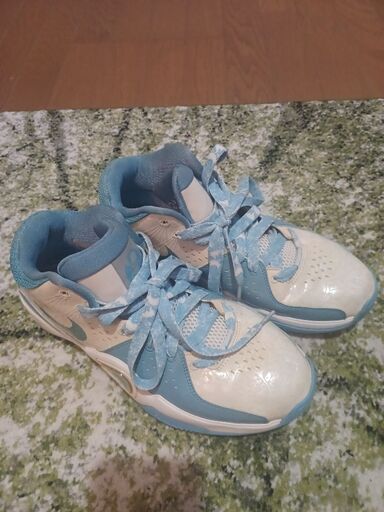 NIKEエアズームブレイズ4スラムダンク