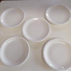 白シンプル平皿5枚