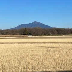 セメントください！