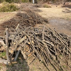 薪　栗の剪定木　ストーブ　キャンプ