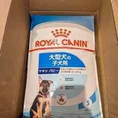 【未開封】ドッグフード ROYAL CANIN マキシパピー 15kg