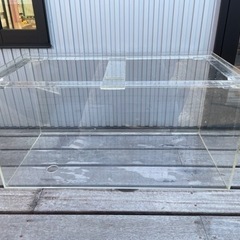 アクリルオーバーフロー水槽 限定値下げ中
