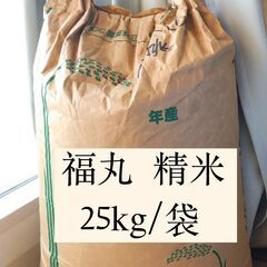 福丸　精米　25kg　有機栽培米　2022年秋収穫【残4袋】
