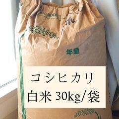 コシヒカリ　白米　30kg　有機栽培米　2022年初収穫