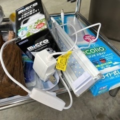 今からメダカシーズン🐟水槽　値下げ