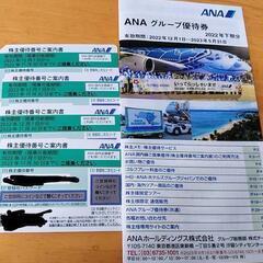 ANA株主優待券4枚2023年11月30日搭乗分まで