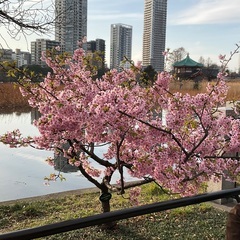 東南アジアへの海外旅行や移住に興味がある方！の画像