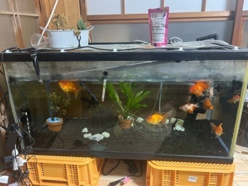 黒曜石とりに神津島へ旧石器時代の景色油彩真作画F4清々しい汚染のない海