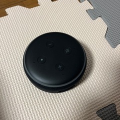 Amazonエコードット第3世代？(交渉中)