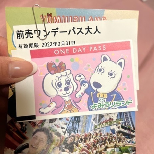 読売ランドフリーパス大人2枚