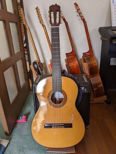 弦楽器、ギター ZENON ZG-250