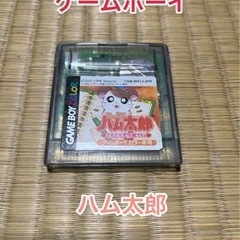 【ネット決済・配送可】ゲームボーイカラー　とっとこハム太郎 とも...