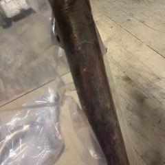 UTAA ゴルフ ウェア ニット ポロシャツ レディース トップス 半袖-カムリ用柿本マフラー