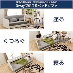 3wayベッドソファ ニトリ B1-USB 定価94900円
