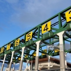 阪神競馬場いきません？