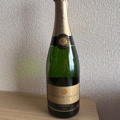 シャンパン２本 アルノー・ド・シューラン ブリュット・レゼルヴ ...
