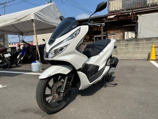 PCX125/ホンダ 2020年モデル JF81型 マットイオンブルーメタリック スマートキーの販売情報 バイクセンター 柏店｜ウェビック バイク選び