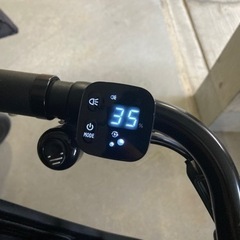 HYDEE.II 電動アシスト自転車　ハイディツー　2020年モデル