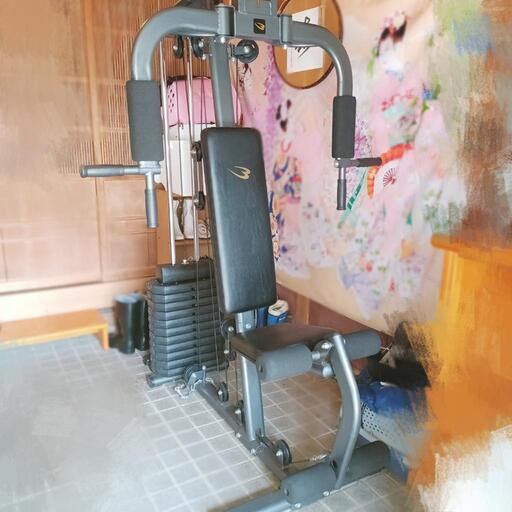 ホームジム 大型筋トレマシーン