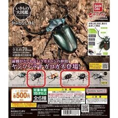 いきもの大図鑑カブトムシ04　3種セット