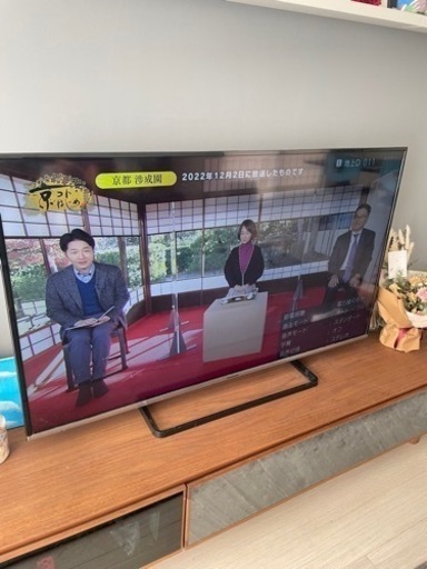 Panasonic ハイビジョン液晶テレビ 50V型 TH-50C305 | daspi.ro