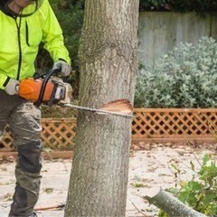 日給14000円〜伐採　草刈り　防草シート施工など