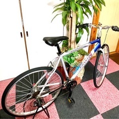 [受付終了]致しました イタリア貴公子の乗り物(Free SPirit Coppi 28インチ)3X7 21段式 700X35C