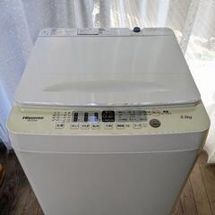 ハイセンス　2021年製　洗濯機　HW-E5504  5.5kg