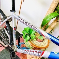 [受付終了]致しました イタリア貴公子の乗り物(Free SPirit Coppi 28インチ)3X7 21段式 700X35C